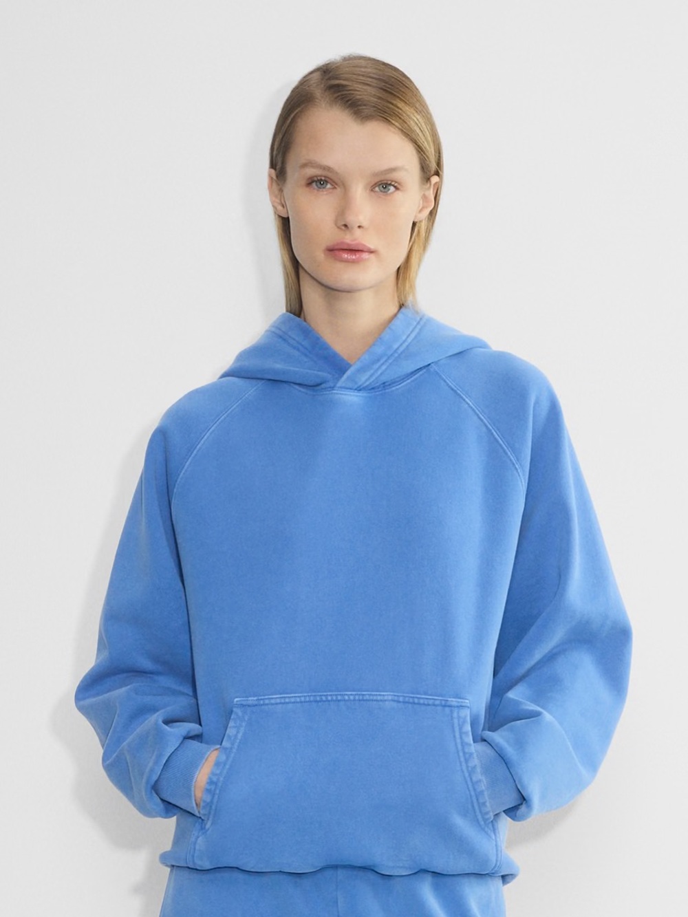 Aritzia Cozyfleece Hoodie